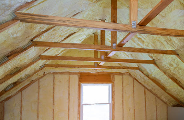 Professional Insulation Contractor in Vermillion, SD