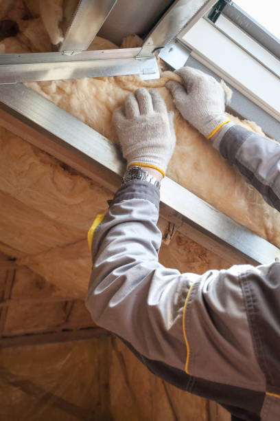 Best Specialized Insulation Services in Vermillion, SD
