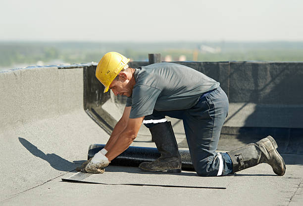 Best Geographic-Specific Insulation Services in Vermillion, SD