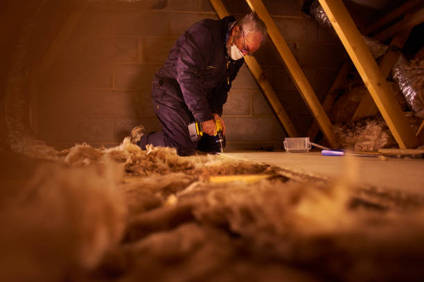 Best Eco-Friendly Insulation in Vermillion, SD